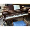 Piano Gunther crapaud bel état